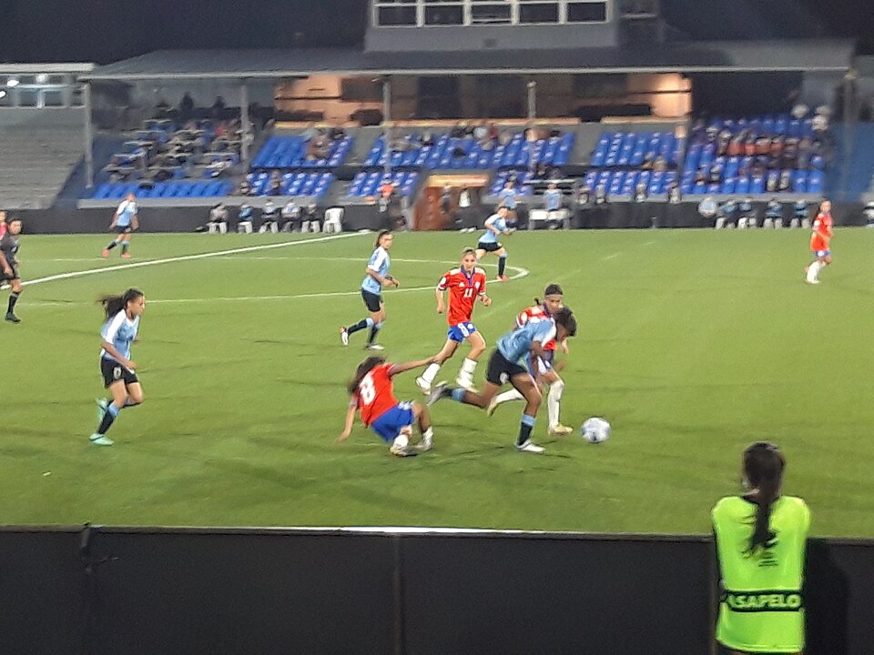 Aficionados viendo un partido en un bar deportivo